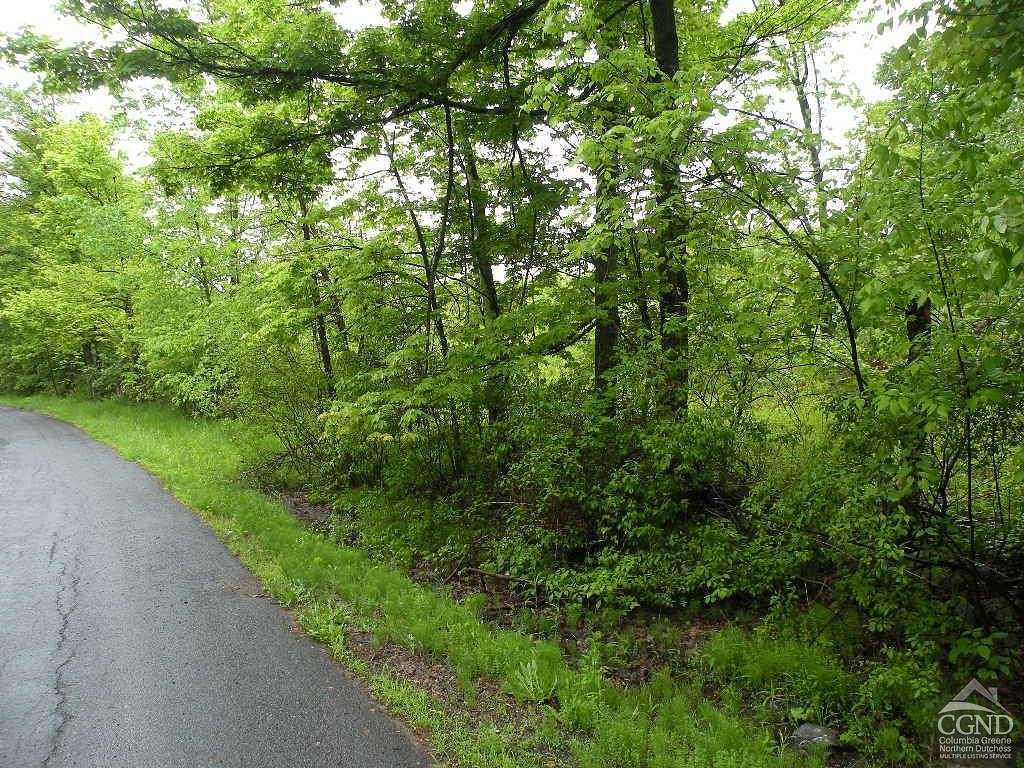 34.67 Acres of Recreational Land for Sale in Taghkanic, New York