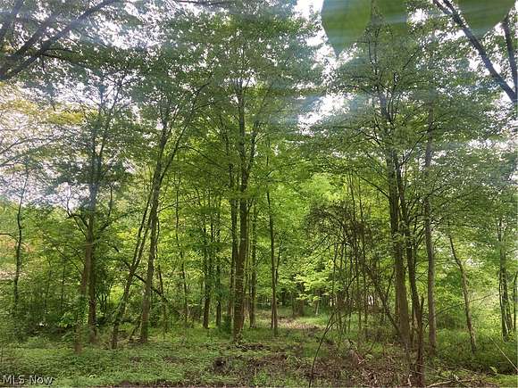 1.6 Acres of Residential Land for Sale in Green Township, Ohio