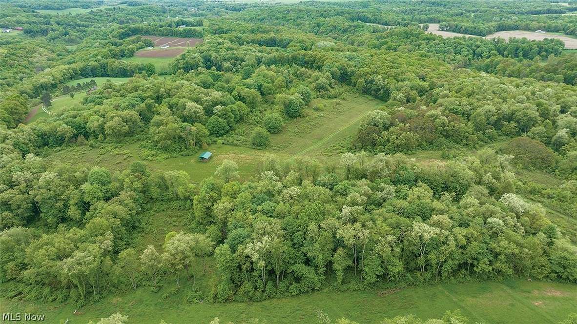 Agricultural Land for Auction in Bloomingdale, Ohio