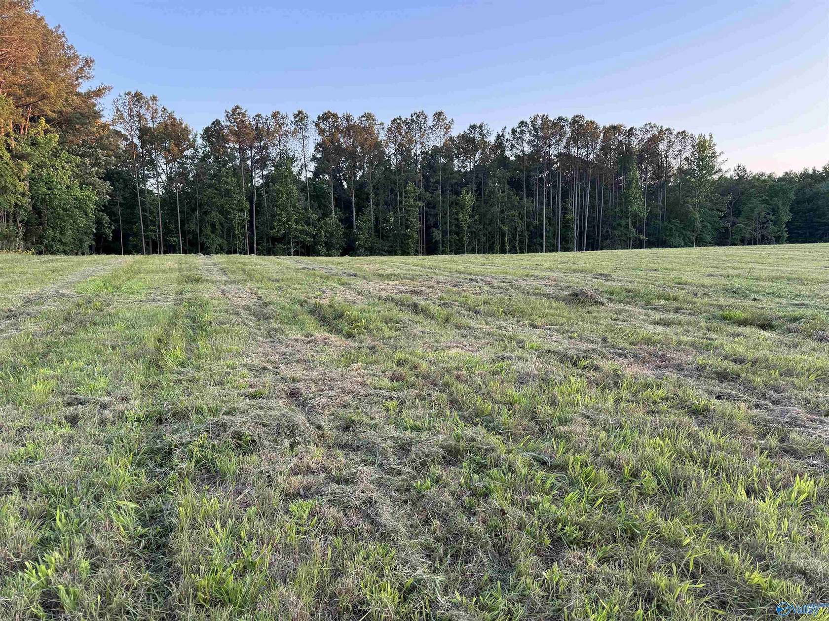 8 Acres of Residential Land for Sale in Hartselle, Alabama