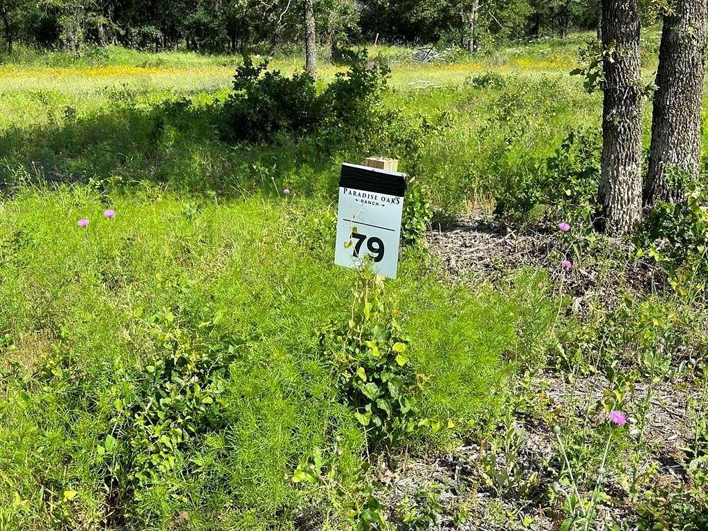 5.237 Acres of Land for Sale in Perrin, Texas