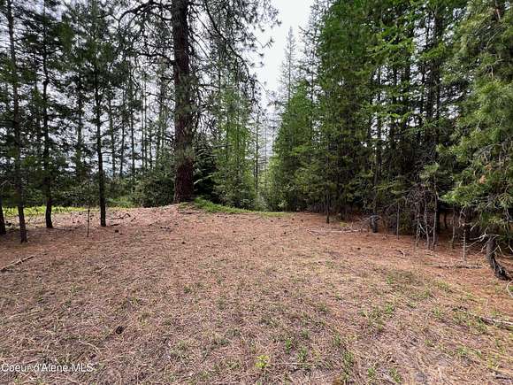 5.2 Acres of Land for Sale in Fernwood, Idaho