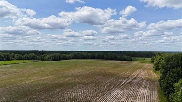 40 Acres of Land for Sale in Milaca, Minnesota