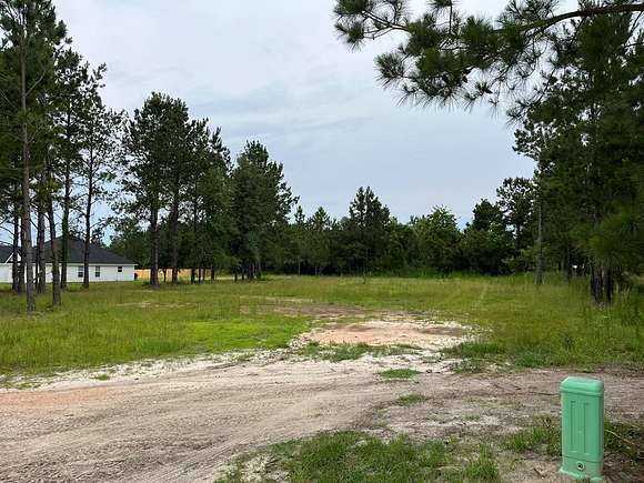 1.2 Acres of Residential Land for Sale in Naylor, Georgia