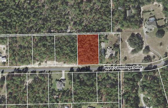 1 Acre of Residential Land for Sale in Beverly Hills, Florida