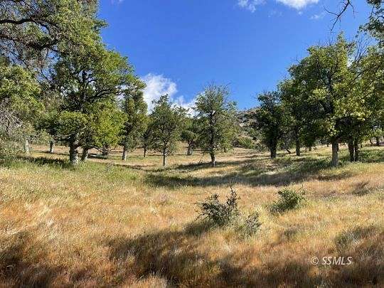 200 Acres of Agricultural Land for Sale in Wofford Heights, California