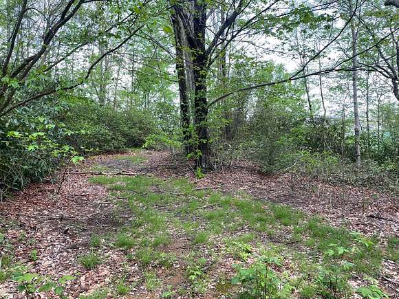 14.9 Acres of Land for Sale in Cherokee, North Carolina