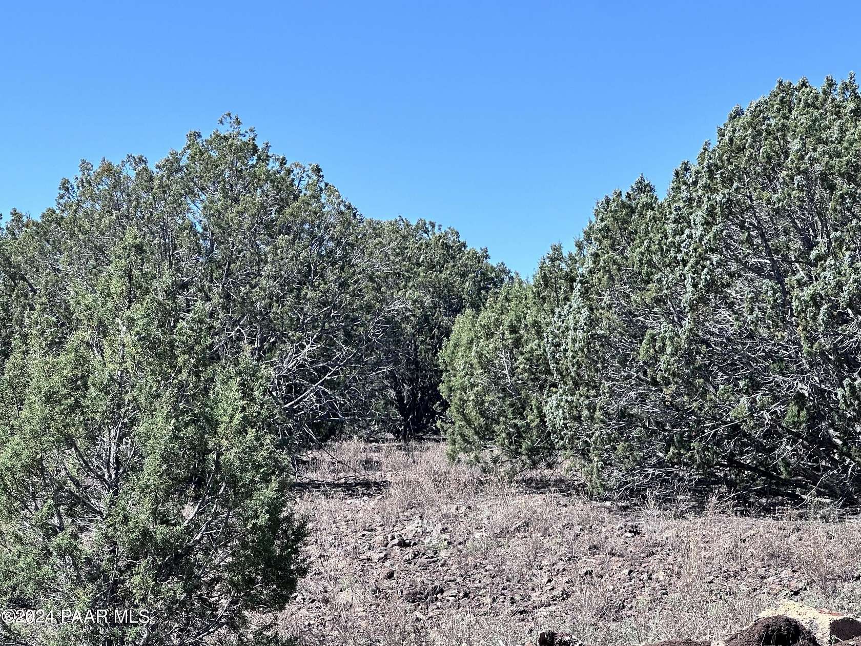 40.1 Acres of Land for Sale in Williams, Arizona