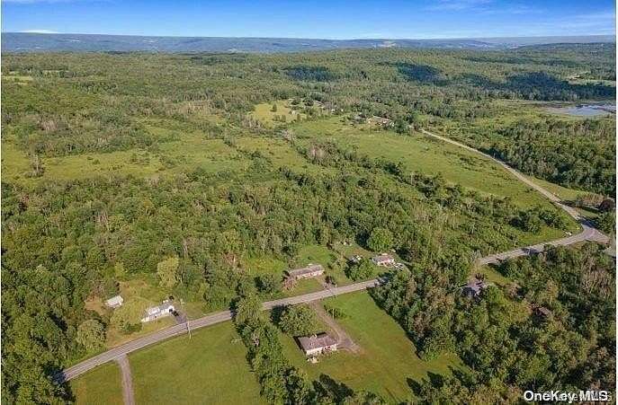 193 Acres of Land for Sale in Delanson, New York