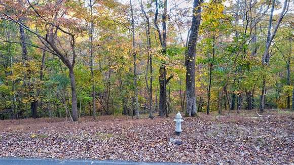 0.47 Acres of Land for Sale in Ellijay, Georgia