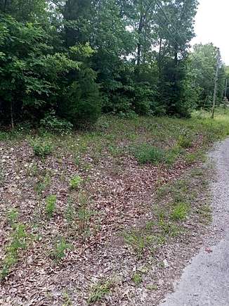 0.31 Acres of Residential Land for Sale in Highland, Arkansas