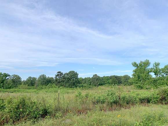 14.2 Acres of Land for Sale in Quitman, Arkansas