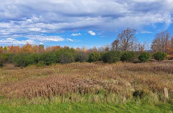 27 Acres of Agricultural Land for Sale in Watkins Glen, New York