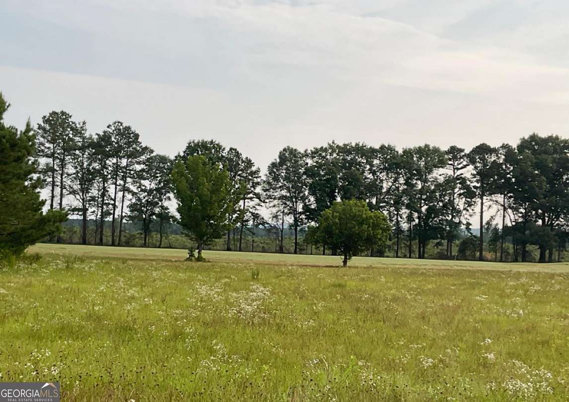 1.1 Acres of Residential Land for Sale in Hawkinsville, Georgia