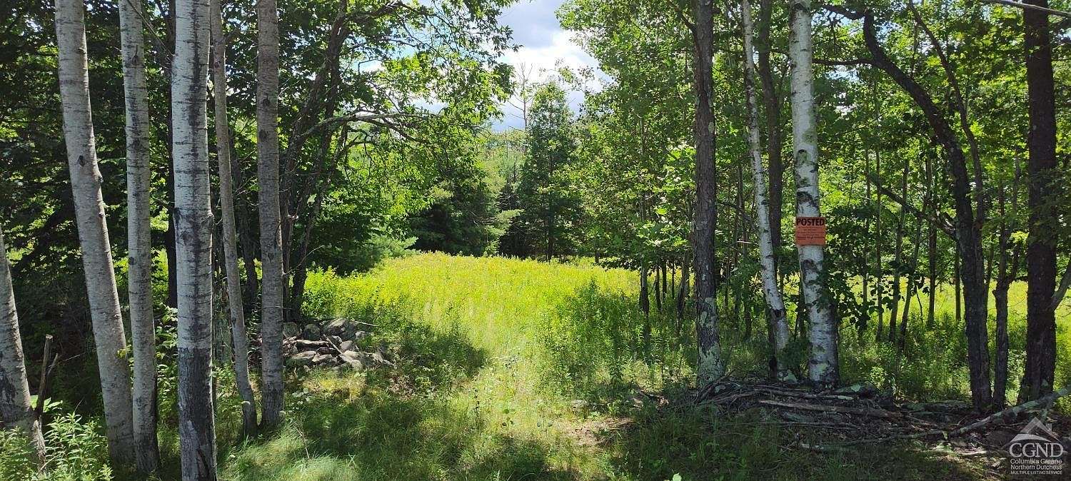 5.28 Acres of Residential Land for Sale in Prattsville, New York