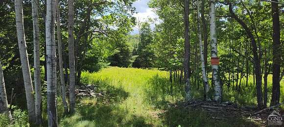 5.3 Acres of Residential Land for Sale in Prattsville, New York