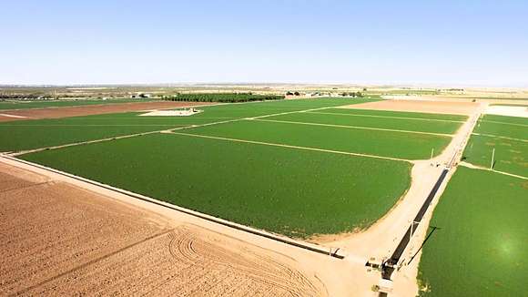 Agricultural Land for Sale in Carlsbad, New Mexico