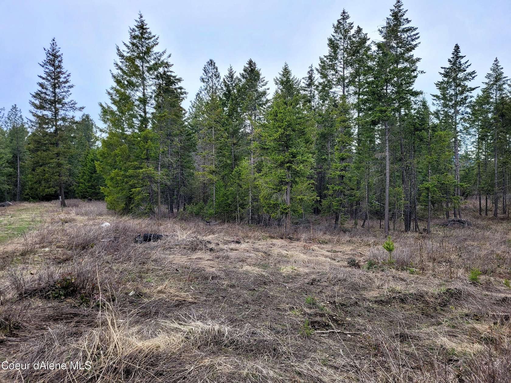 5 Acres of Residential Land for Sale in Athol, Idaho
