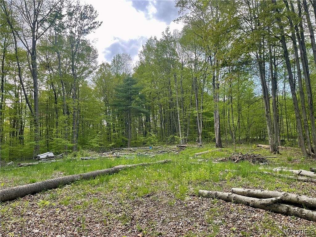 3.3 Acres of Land for Sale in Wirt, New York