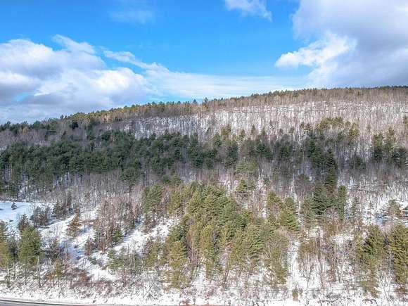 5.1 Acres of Land for Sale in Windham, New York