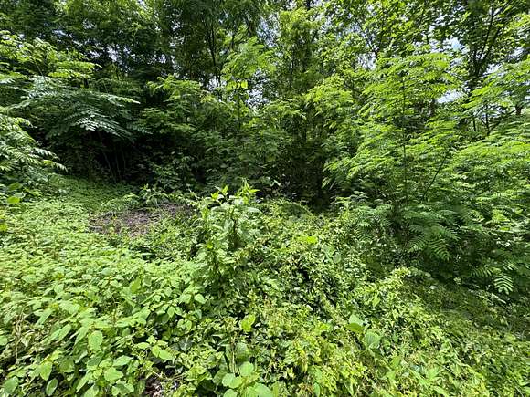 4.2 Acres of Residential Land for Sale in Gatlinburg, Tennessee