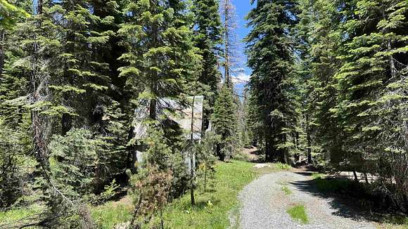 99.6 Acres of Recreational Land for Sale in Soda Springs, California