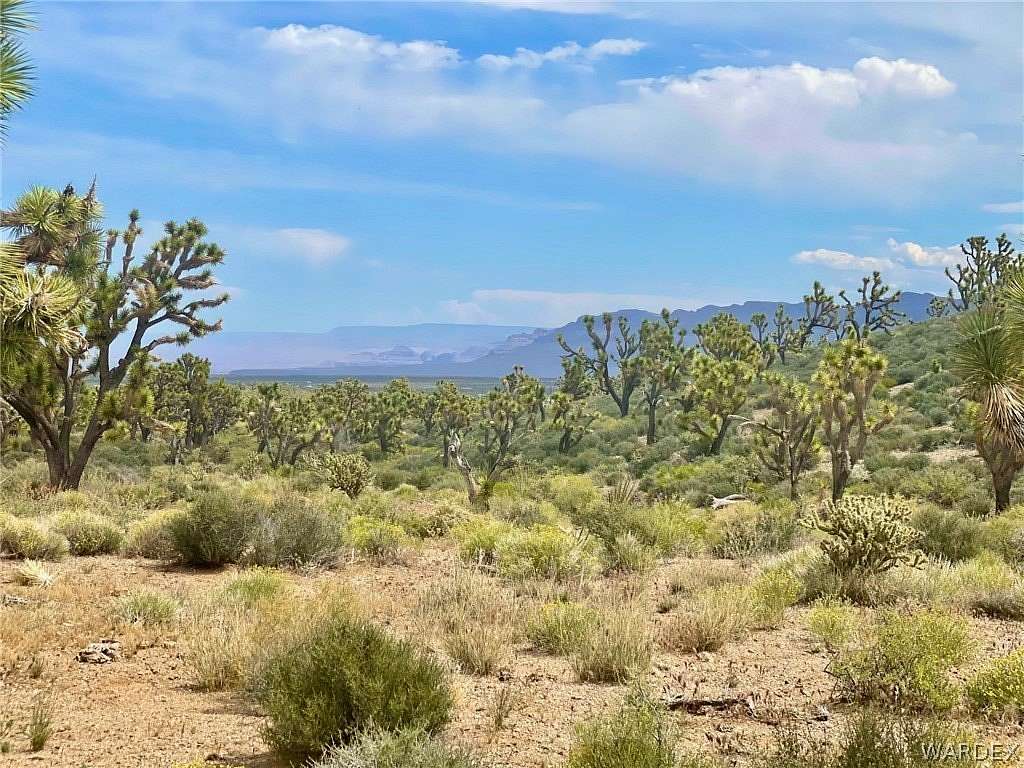 240 Acres of Land for Sale in Meadview, Arizona