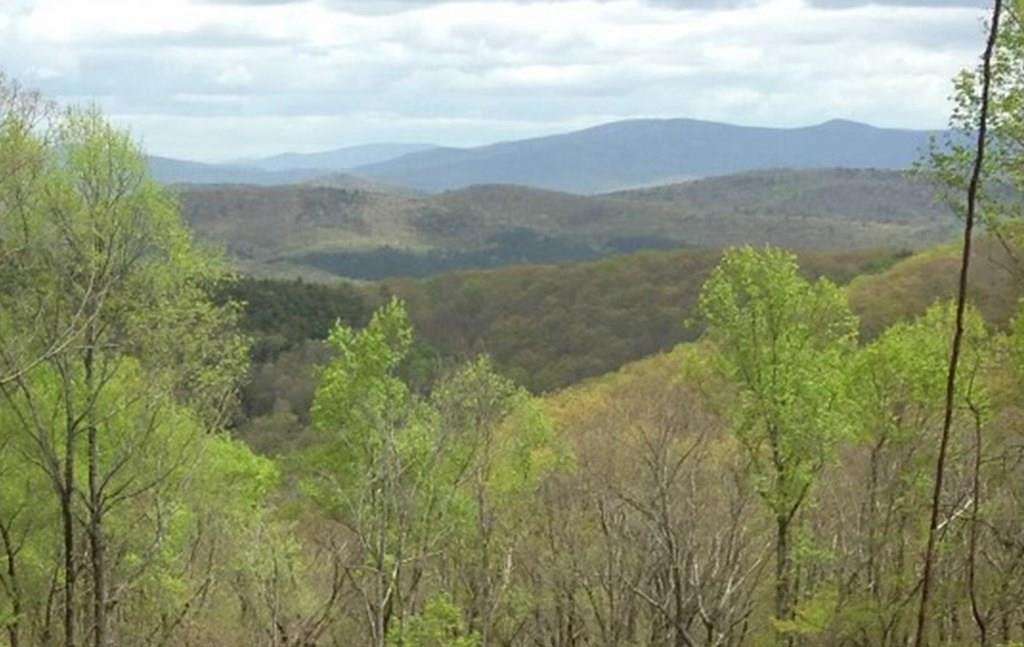 1.7 Acres of Residential Land for Sale in Ellijay, Georgia