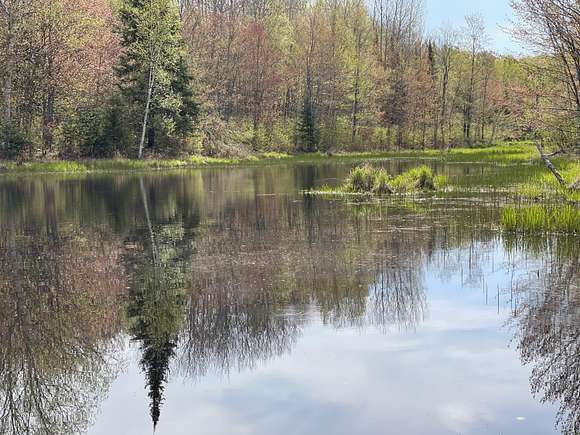 80 Acres of Recreational Land for Sale in Brimley, Michigan