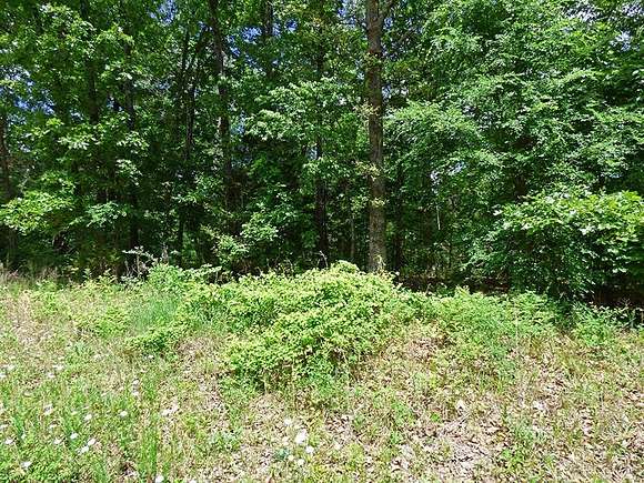 0.34 Acres of Residential Land for Sale in Horseshoe Bend, Arkansas