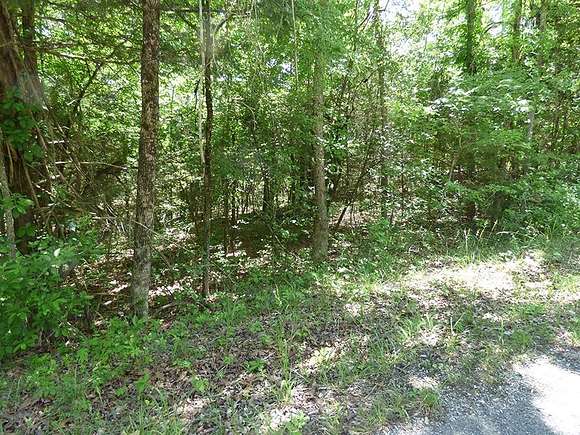 0.34 Acres of Residential Land for Sale in Horseshoe Bend, Arkansas