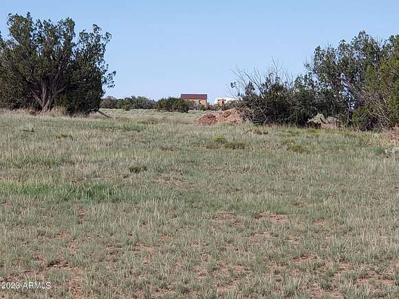 36.99 Acres of Agricultural Land for Sale in St. Johns, Arizona