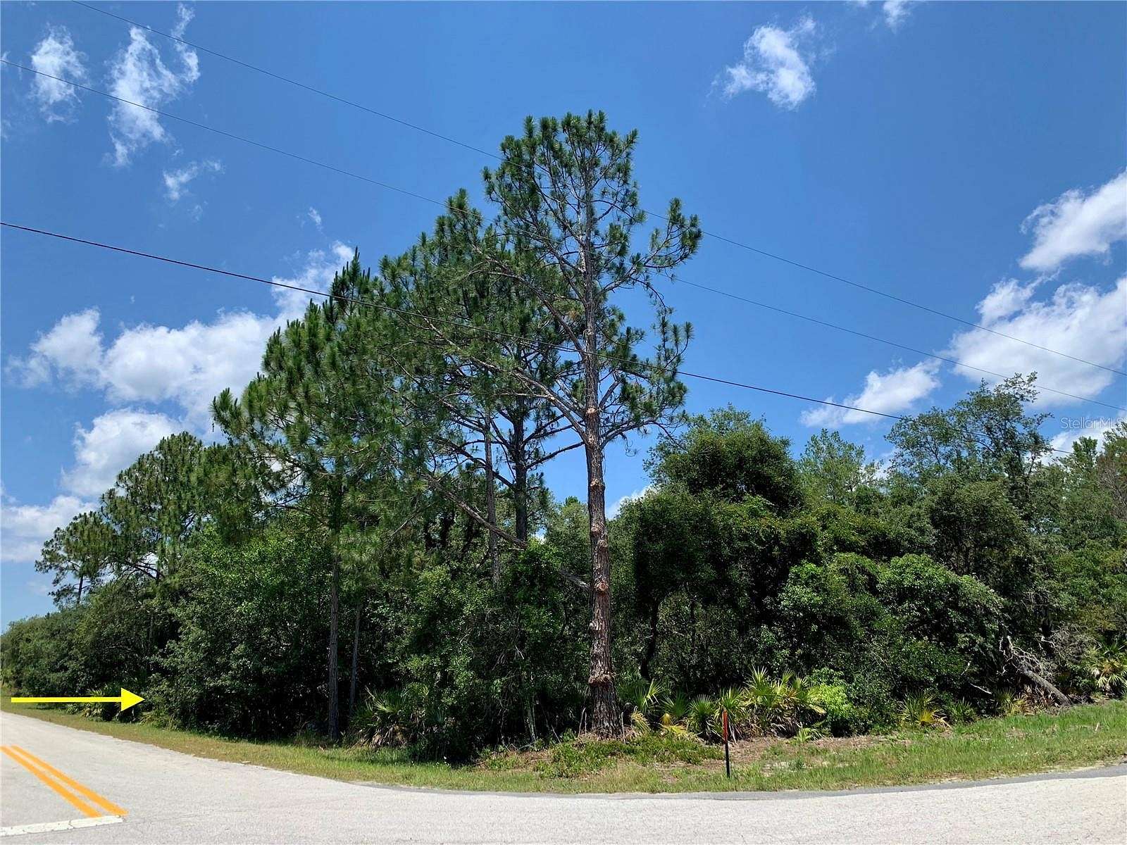 1 Acre of Residential Land for Sale in Eustis, Florida
