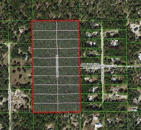 21.1 Acres of Land for Sale in Dunnellon, Florida
