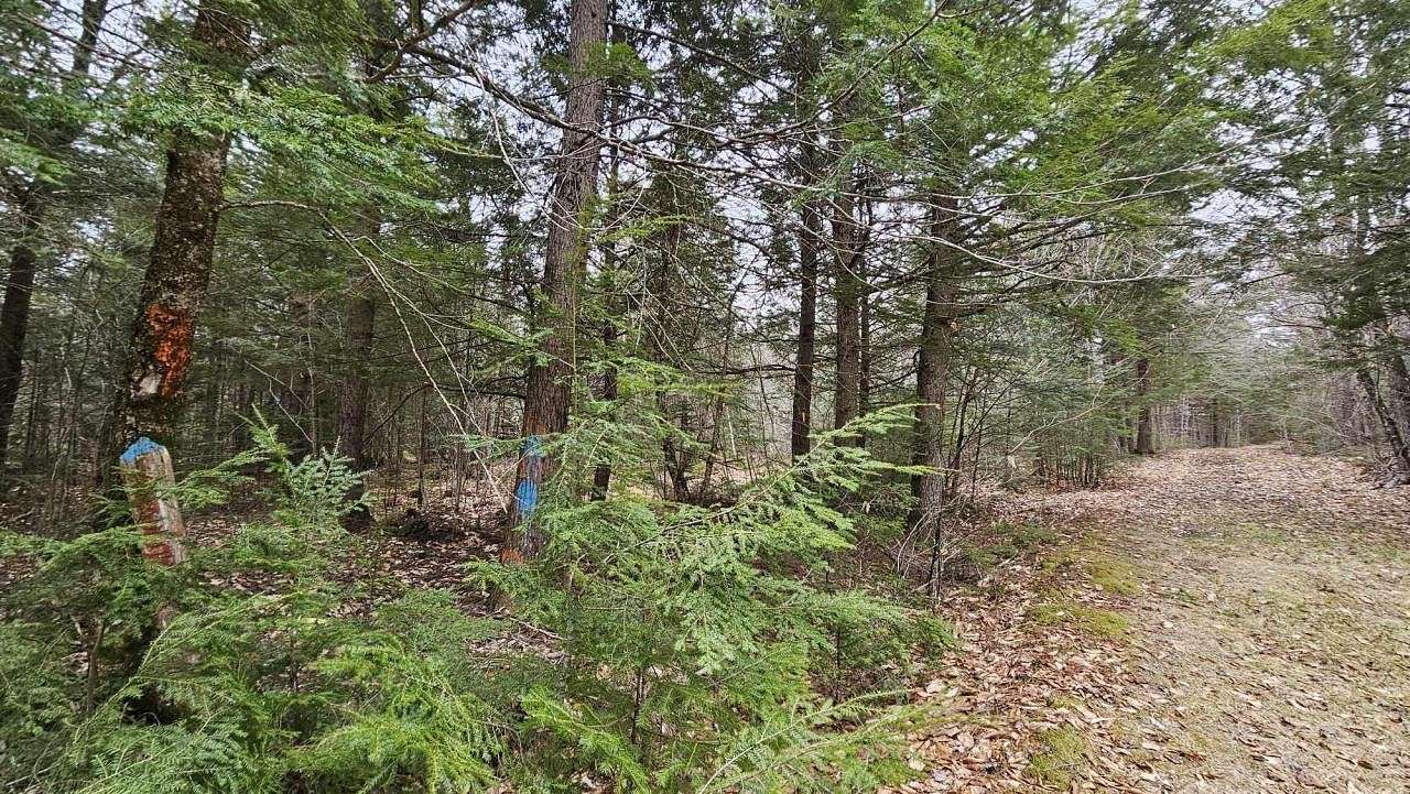 7.5 Acres of Residential Land for Sale in Charleston, Maine