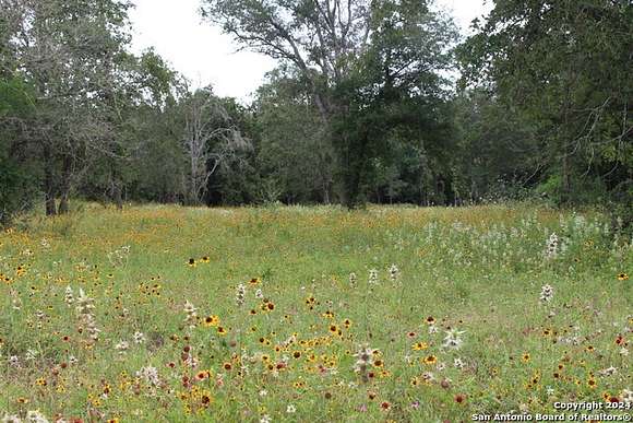 47.5 Acres of Agricultural Land for Sale in Seguin, Texas