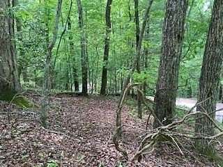 0.55 Acres of Residential Land for Sale in Ellijay, Georgia