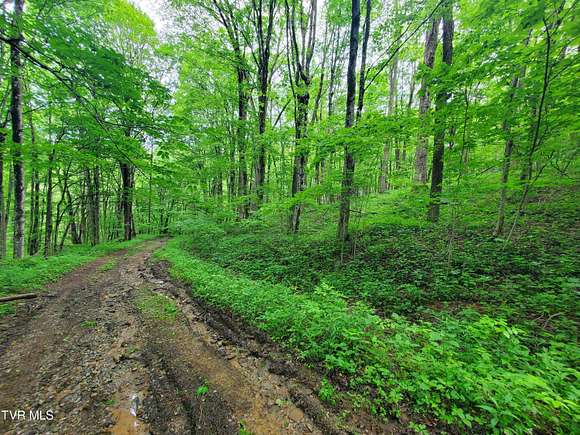 1.4 Acres of Residential Land for Sale in Roan Mountain, Tennessee