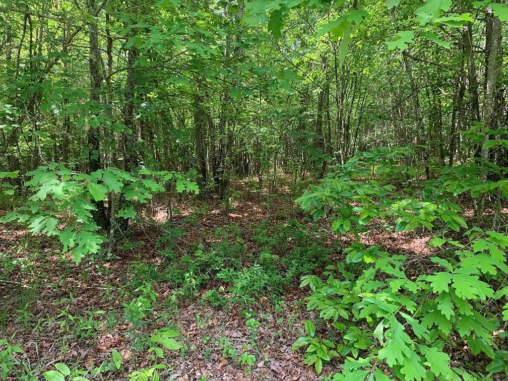 1 Acre of Residential Land for Sale in Spencer, Tennessee