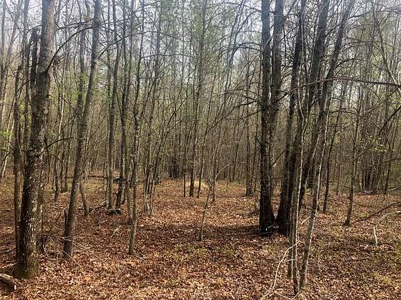 1 Acre of Residential Land for Sale in Spencer, Tennessee