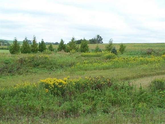 1.9 Acres of Residential Land for Sale in Stockton, Illinois