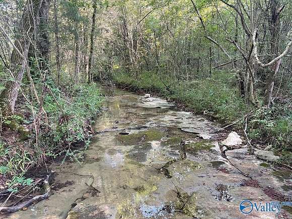 55 Acres of Recreational Land for Sale in Somerville, Alabama