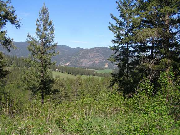 20 Acres of Recreational Land for Sale in Addy, Washington