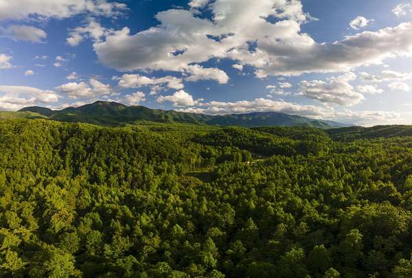 0.5 Acres of Residential Land for Sale in Hartford, Tennessee