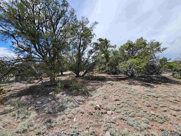 11.5 Acres of Land for Sale in Quemado, New Mexico
