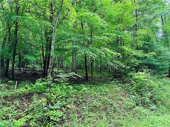1.3 Acres of Residential Land for Sale in Moravian Falls, North Carolina