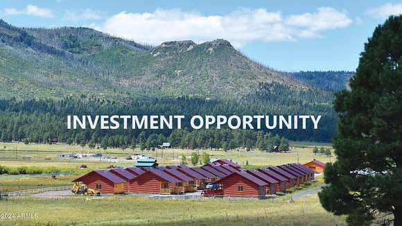 10 Acres of Improved Mixed-Use Land for Sale in Alpine, Arizona
