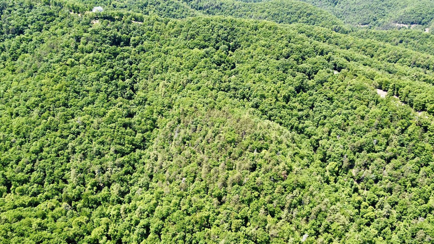 57.4 Acres of Recreational Land for Sale in Caldwell, West Virginia