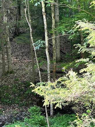 57.4 Acres of Recreational Land for Sale in Caldwell, West Virginia