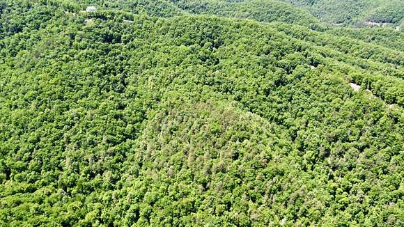 57.4 Acres of Recreational Land for Sale in Caldwell, West Virginia